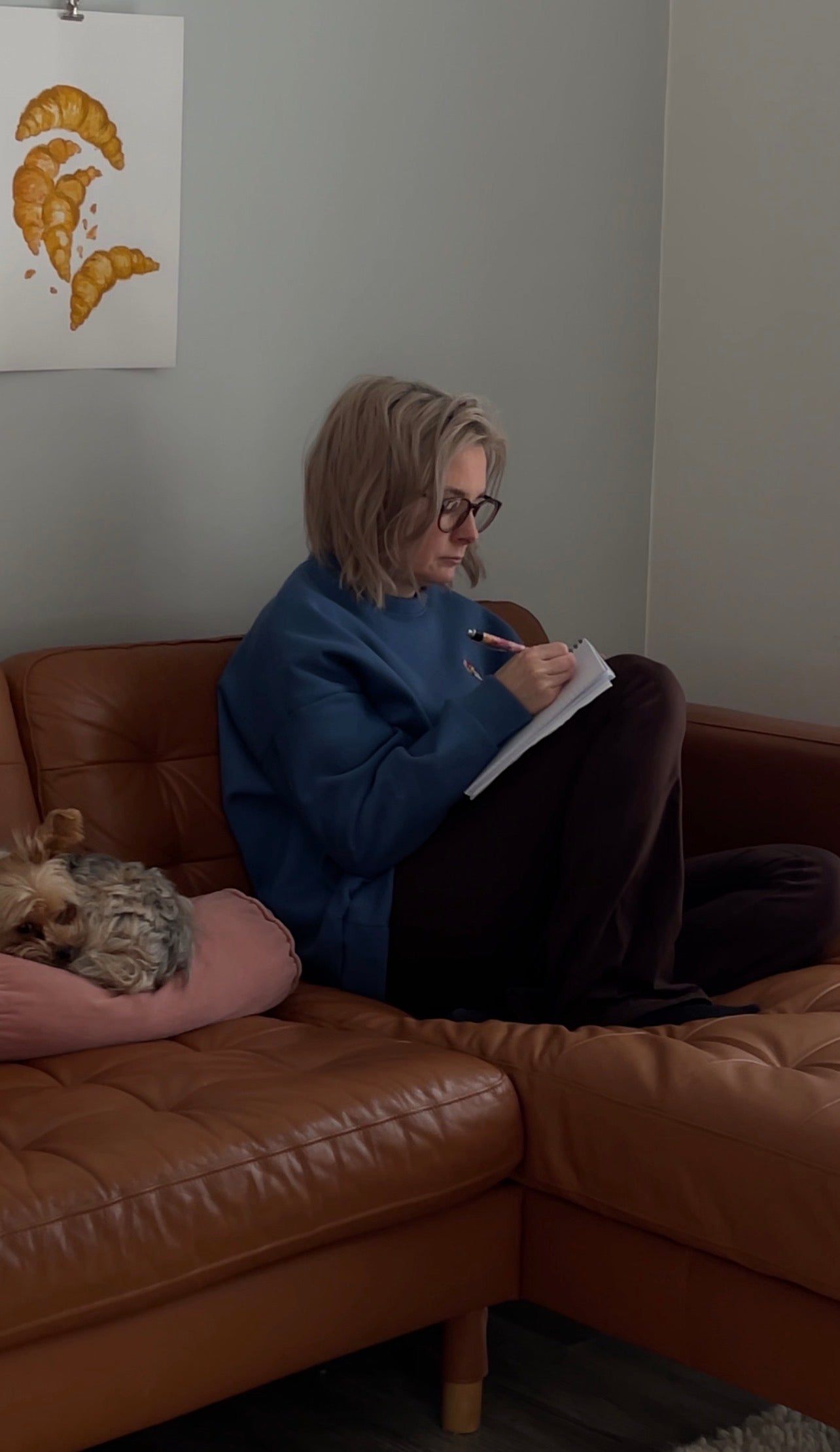 Jätskicollege sininen S-L